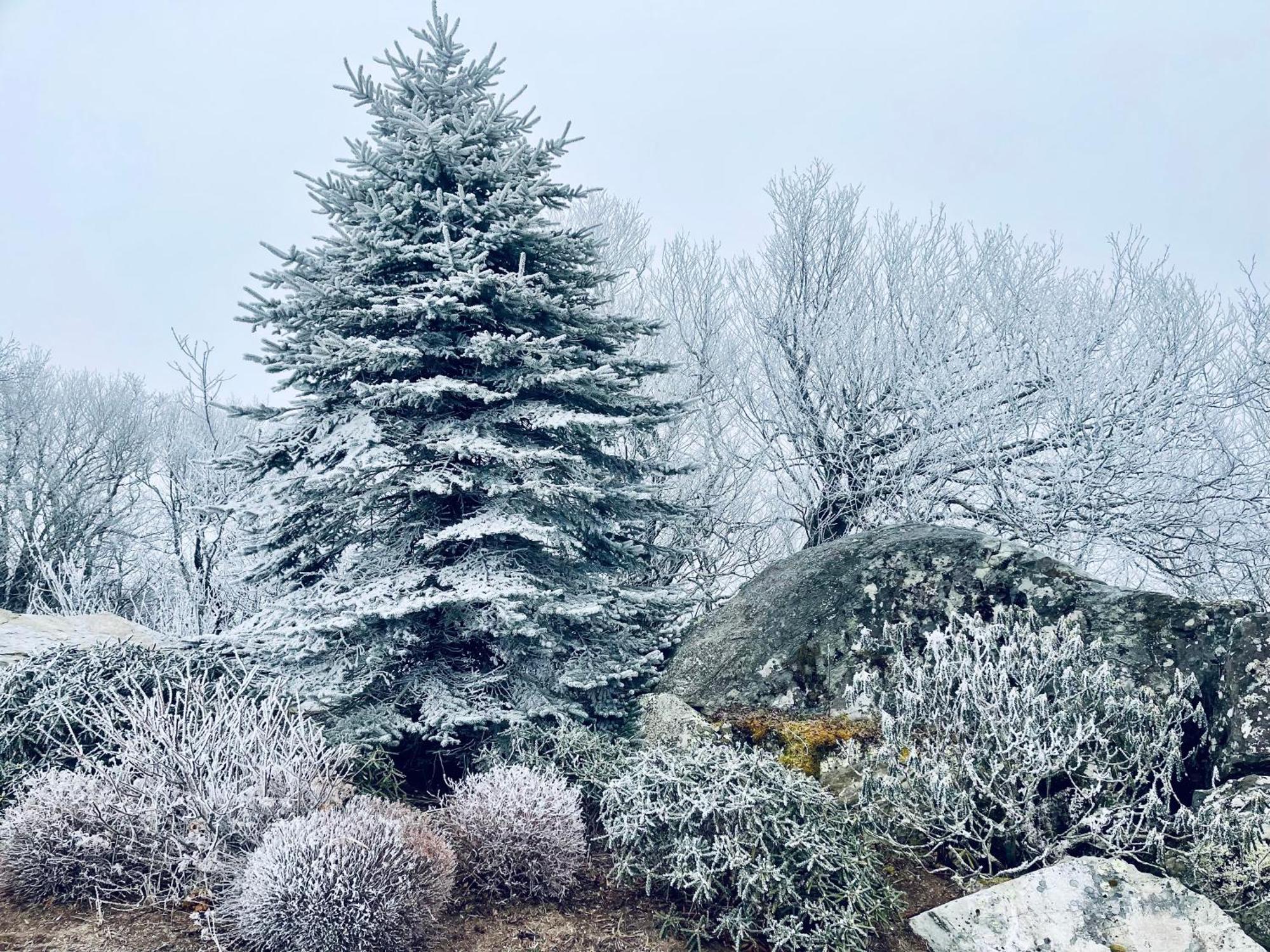 Bucket List Views Sugar Mountain Private Condo - 2Bed, 2Bath, Sleeps 6, Panoramic Views Of Mountains From Large Deck, Short Drive To Shopping, Restaurants, Cafes & Banner Elk Town Luaran gambar